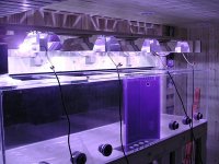 dscn3186.jpg
