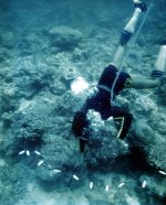 diver using barrier net.jpg