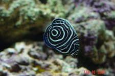 dsc01117.jpg