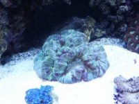 pict0142.jpg
