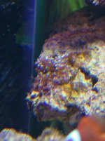 rock3.jpg