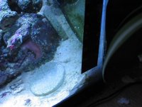 IMG_0615.jpg
