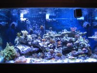 IMG_1146.jpg