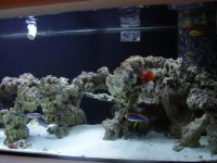 DSC08130.JPG