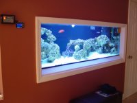 DSC08150.JPG
