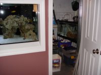 DSC08147.JPG