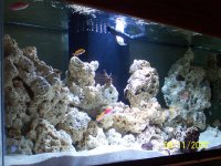 FTS_150_1.jpg