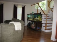 IMG_0003.JPG