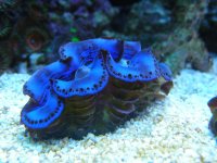 DSCN1188.jpg