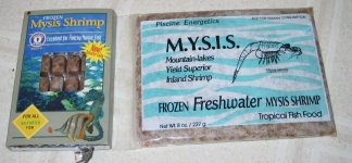 mysis1.jpg