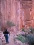 __tn_north kaibab trail.jpg