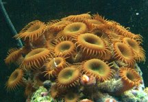 DSC00483-ZOO-2.jpg
