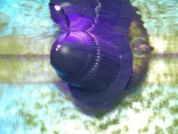 p9024729 (small).jpg