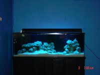 dsc00186.jpg