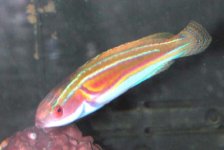 dscn3774.jpg