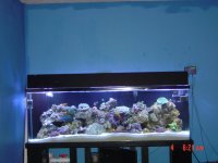 full tank shot.jpg