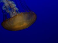 dcp00841.jpg