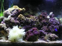 pic1.jpg