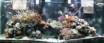 dsc00156.jpg