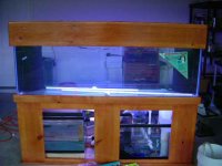 2004_0424fishtankstage100041.jpg