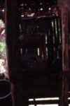 darkoriginalcrop.jpg