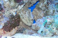 100_0344.JPG