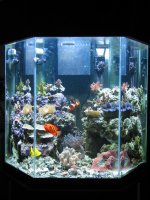 041104tank.jpg
