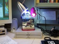 100_0295.jpg