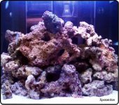30gal-01.jpg