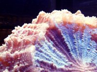 S2010016.JPG