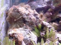 dscf0551.jpg