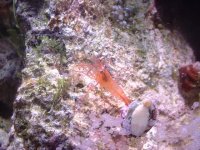 dscf0552.jpg