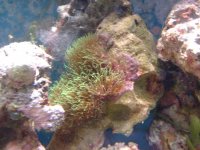 dscf0553.jpg