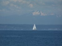 blue sail.jpg