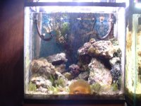 dscf0533.jpg