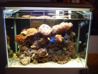 S2010023.JPG