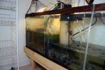 sump2.jpg