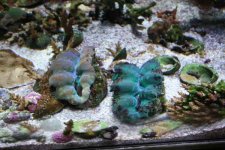 IMG_3397.jpg