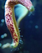 dscf2652.jpg