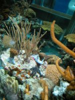 DSCN0928.JPG