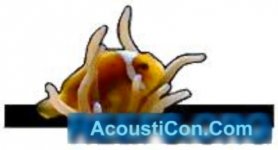 logo_phpbb.jpg