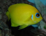 75gallon-13.jpg