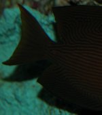 DSC_0006.jpg