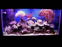 tank Aug 05.JPG