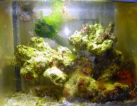 Full tank shot.JPG