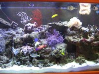 half the tank.JPG