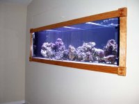 Finished trim 005.jpg