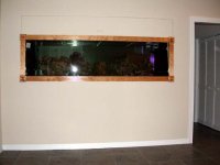 Finished trim 002.jpg