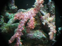 DSCF1211.JPG