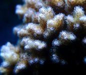 IMG_5678.jpg